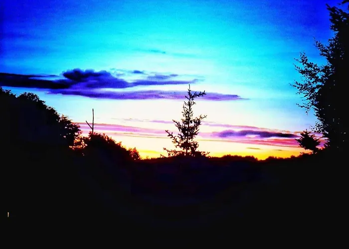Lovely In